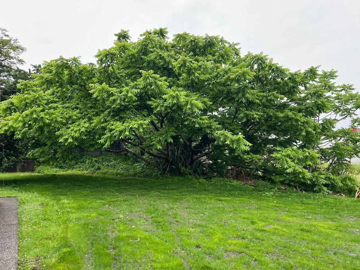ロトルア Under Walnut Tree No2ヴィラ 0*,